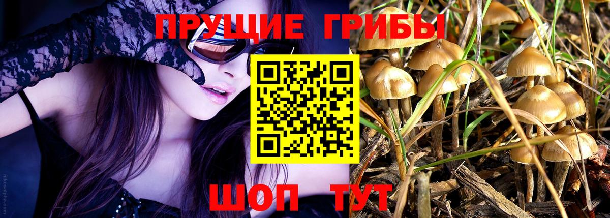 Псилоцибиновые грибы Psilocybine cubensis Ялта